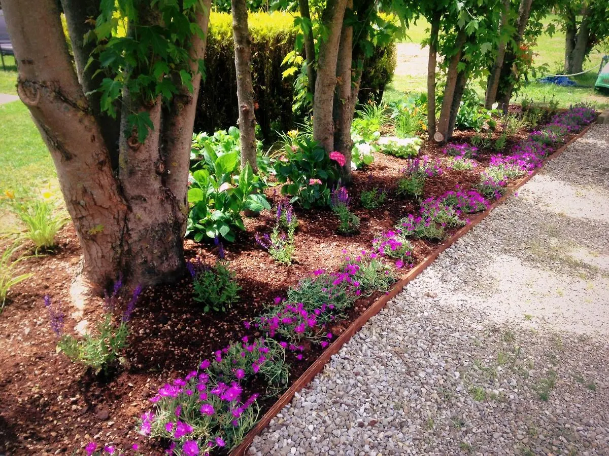 Villa Giuliana أريتسو إيطاليا